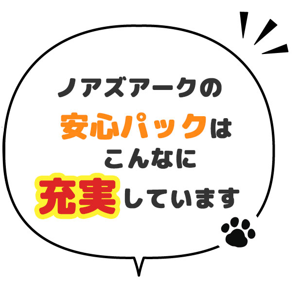 ノアズアークの安心パックはこんなに充実しています